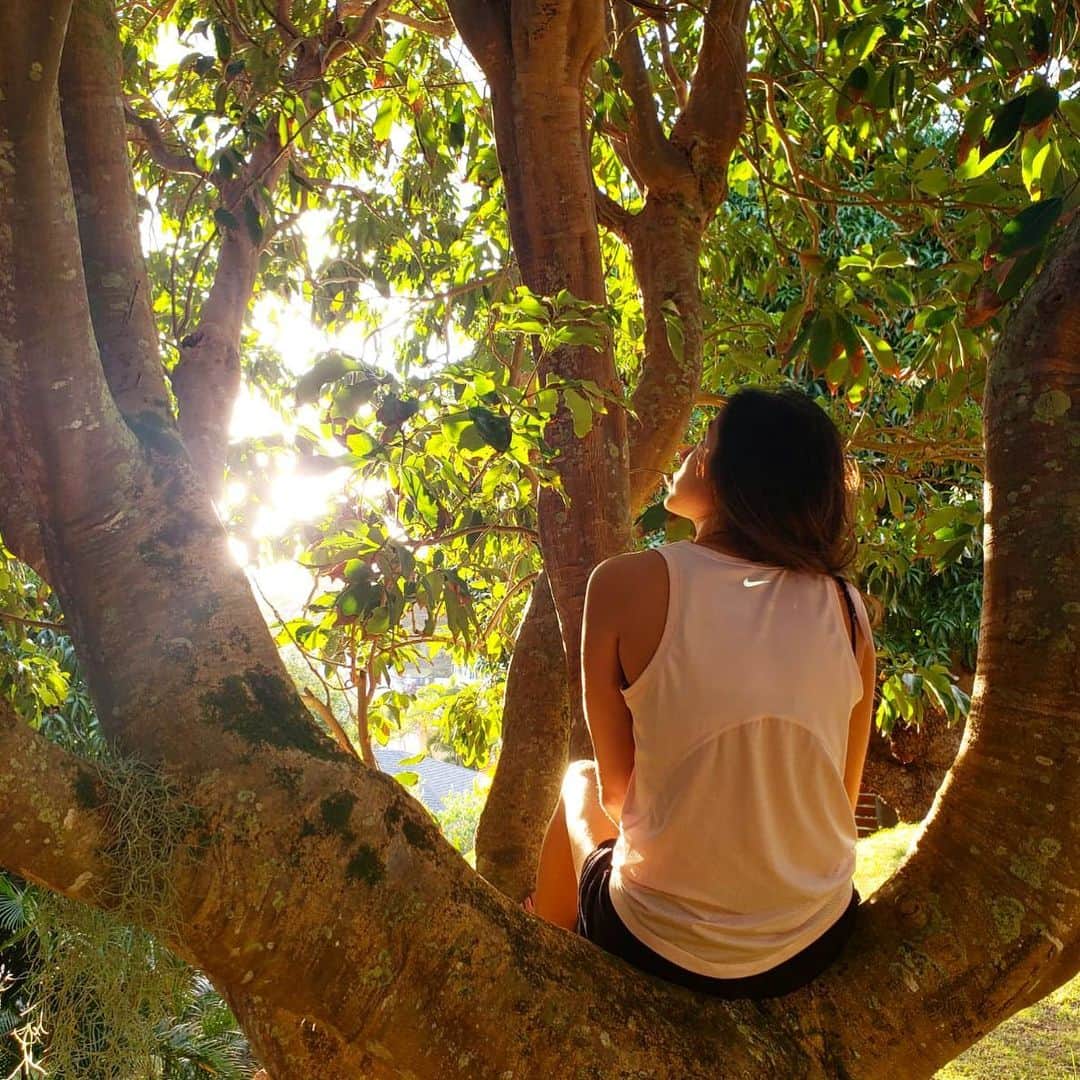 マヤ アリーナのインスタグラム：「Spending more time here lately 🌳🙏最近ここに座って瞑想する事が多い。この木ライチの木なんだけど、エネルギーがすごくいいんだ。」