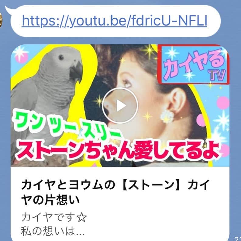 カイヤのインスタグラム