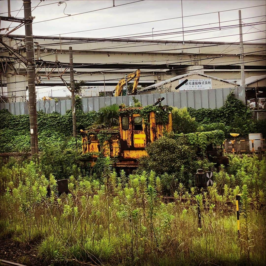 小嶋みつみさんのインスタグラム写真 - (小嶋みつみInstagram)「天空にある鉄道留置線🚃  #鶴見線　#南武支線　#鉄道　#jr東日本 #神奈川　#川崎　#機関車　#電車　#ラピュタの世界 #ラピュタ」7月10日 15時35分 - meetme0323