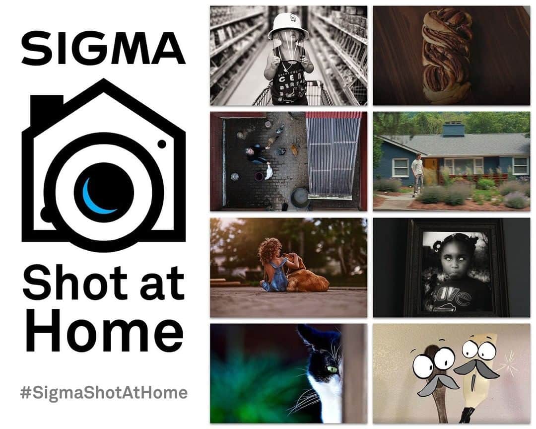 のインスタグラム：「We have wrapped up the June submissions for the #sigmashotathome contest! That also completes the submission process for Sigma Shot at Home! Thank you to everyone who has followed along and submitted their work these past 3 months.   Photo Winners: https://www.facebook.com/pg/SigmaCorporationofAmerica/photos/?tab=album&album_id=3091672610885480  Cine Winners: https://www.facebook.com/watch/SigmaCineUS/2581695802104068/  Week 9 Shopping for Essentials - @markwteng  Alone Together - @taylorchaulk   Week 10 Mom With Chickens - @evanod.media  Not so Far Apart - @evanod.media  Week 11 Summer Driveway Hangs - @gabriella.rojas.ray  Warning Frame - @spencewalkerphotography   Week 12 Peeping Tom - @kreyenhagen  Moostache - @leviames   Stay tuned! We still have to announce the monthly grand prize winner who will be receiving $1000! And then it will be time to announce the ULTIMATE PRIZE WINNER who will be taking an fp bundle home!」