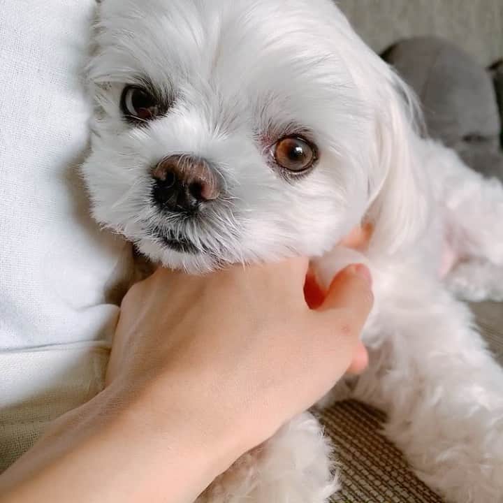 みき みーやんのインスタグラム
