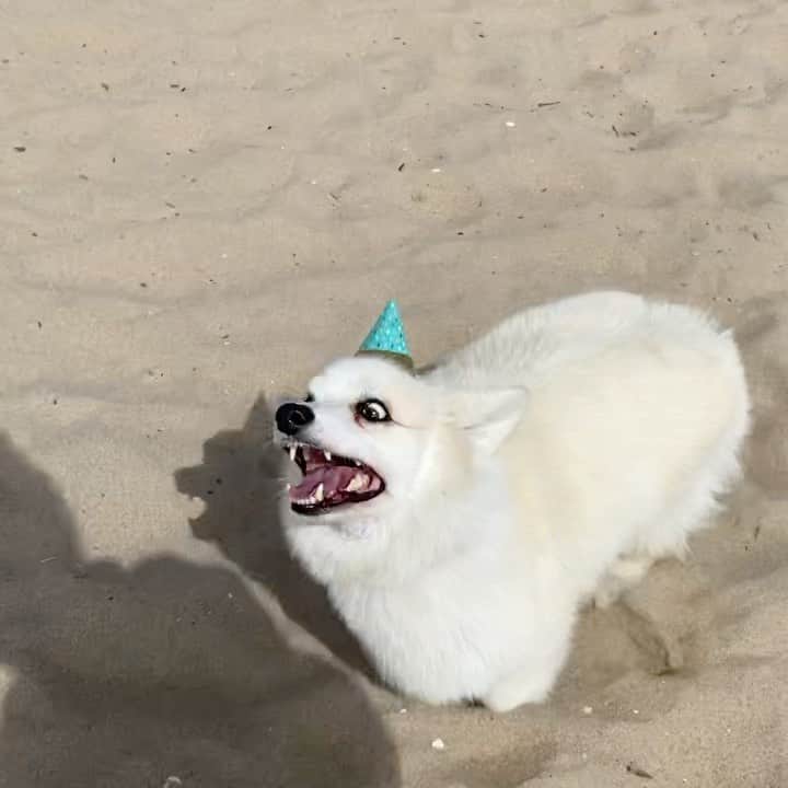 のインスタグラム：「This is the “I GIVE ZERO FLOOFS I WILL ENJOY MY BIRTH IN MY BIRTHDAY SUIT ONLY AND DO WHAT I PLEASE” year and I’m loving it. #8」