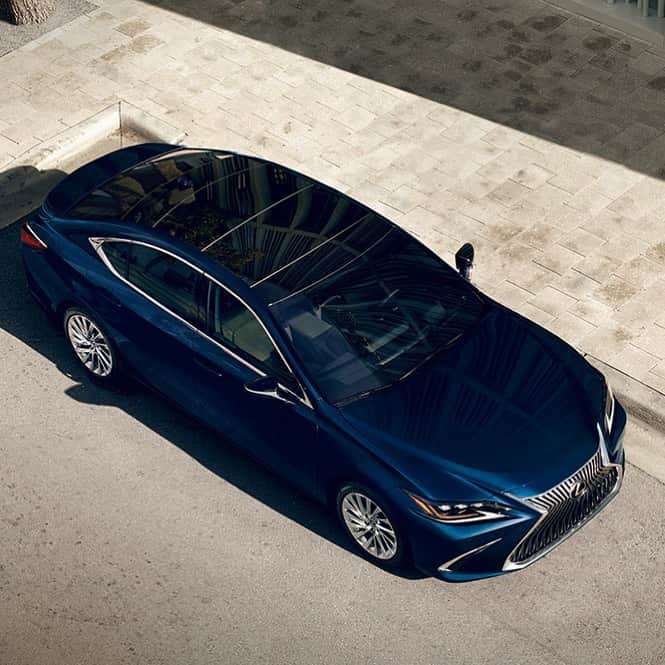 Lexus USAのインスタグラム：「Nightfall Mica poised under bright daylight. #LexusES」