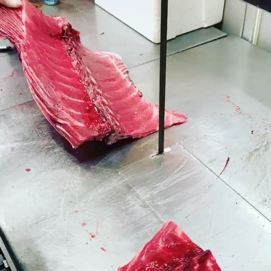 魚金のインスタグラム