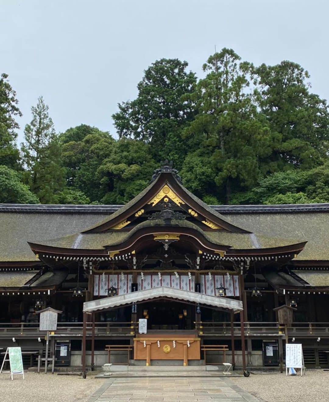 青山有紀さんのインスタグラム写真 - (青山有紀Instagram)「雨の大神神社。緑が美しかった✨」7月10日 16時20分 - yukiaoya