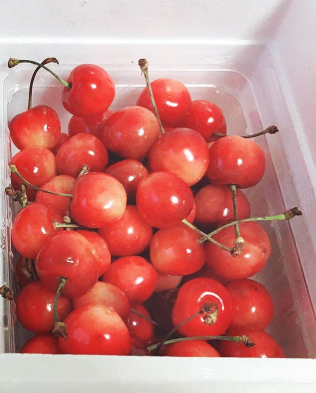 鈴木美南海さんのインスタグラム写真 - (鈴木美南海Instagram)「さくらんぼ🍒  。。。。。。。。。。。。  cherry🍒  。。。。。。。。。。。。。  체리🍒  。。。。。。。。。。。。。。  #さくらんぼ #체리 #仕送り #フルーツ #fruit #과일 #果物 #山形 #cherry #フルーツ大好き」7月10日 12時13分 - u_minami_official