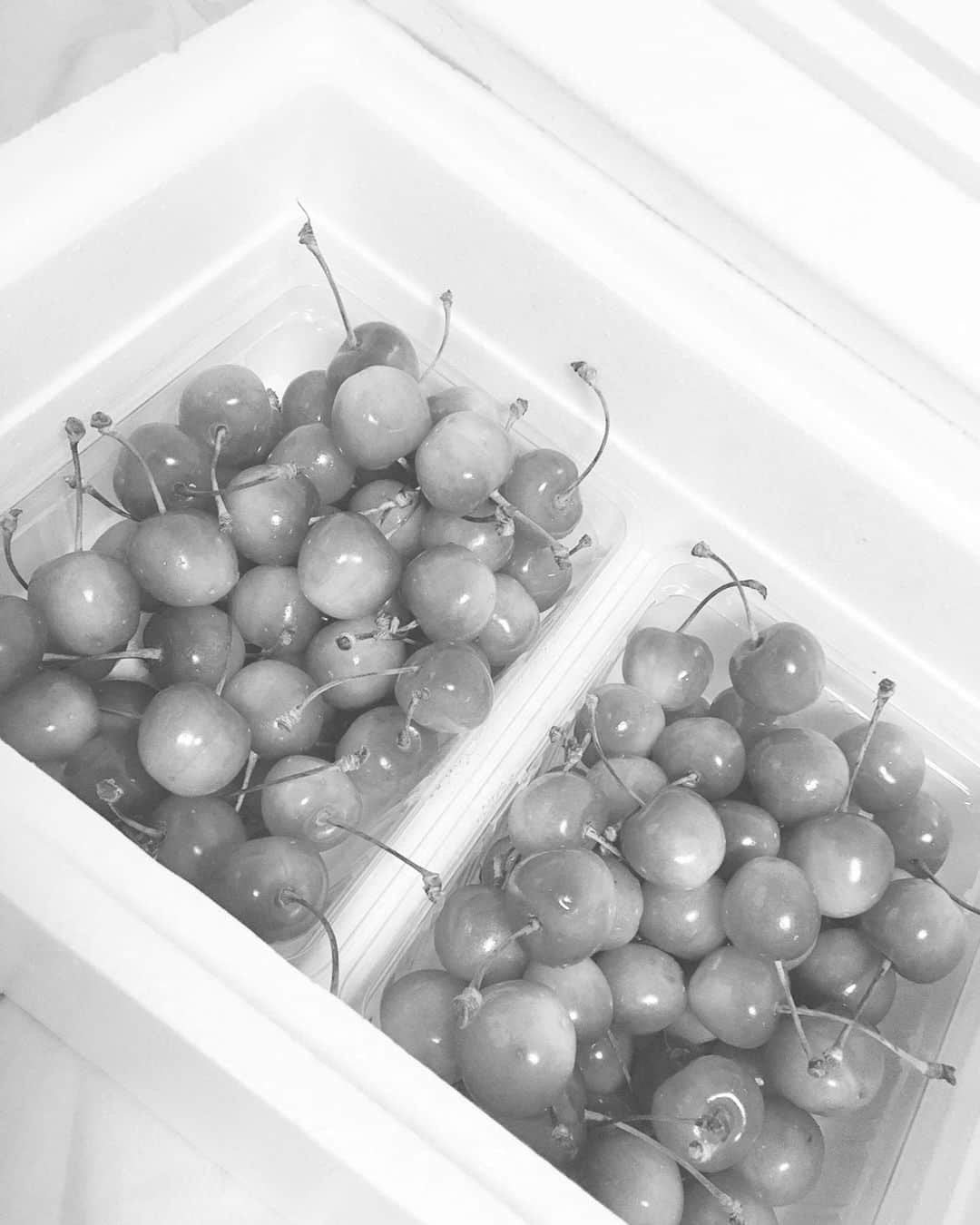 鈴木美南海さんのインスタグラム写真 - (鈴木美南海Instagram)「さくらんぼ🍒  。。。。。。。。。。。。  cherry🍒  。。。。。。。。。。。。。  체리🍒  。。。。。。。。。。。。。。  #さくらんぼ #체리 #仕送り #フルーツ #fruit #과일 #果物 #山形 #cherry #フルーツ大好き」7月10日 12時13分 - u_minami_official