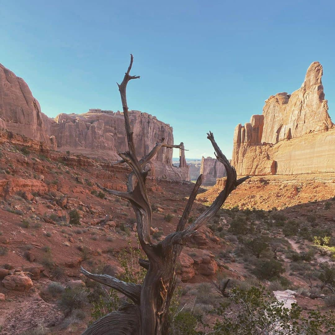 サーシャ・コーエンさんのインスタグラム写真 - (サーシャ・コーエンInstagram)「The magic of #Moab. #nationalparks #utah #wanderlust #archesnationalpark」7月10日 13時42分 - sashacohennyc