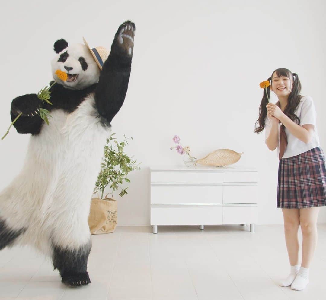 星星（セイセイ）さんのインスタグラム写真 - (星星（セイセイ）Instagram)「🌻 . #あいみょんさん #星星のぬいぐるみ #喜んでくれてありがとう💓 . きょうの #ベラベラENGLISH は…💯 🌟Yippie! 🌟やったー！ . #星星 #パンダ #panda #pandagram #パンダ好きな人と繋がりたい #ZIP!」7月10日 13時43分 - seisei_panda