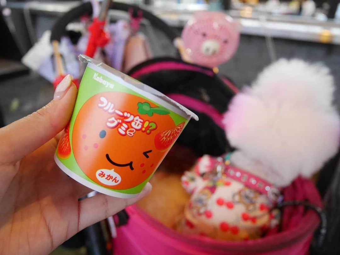 田中めぐみのインスタグラム
