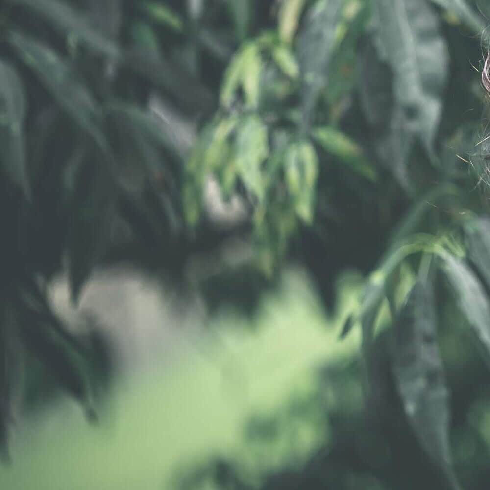 結婚式場 ヒルズスィーツ宇都宮ブリーズテラスのグルメインスタ