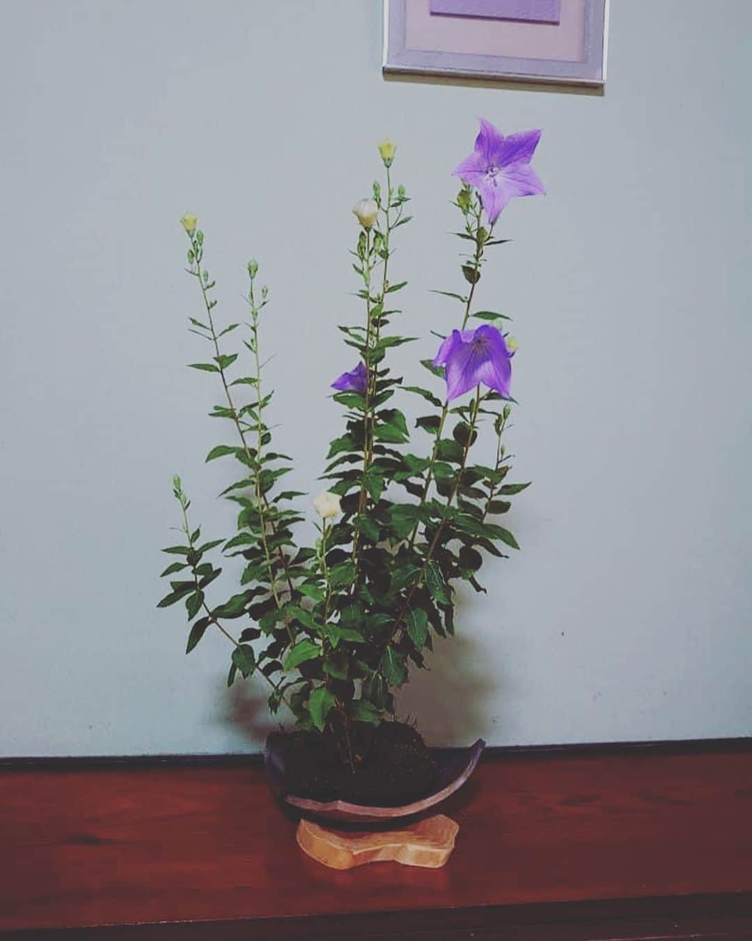 旅館 お多福のグルメインスタ