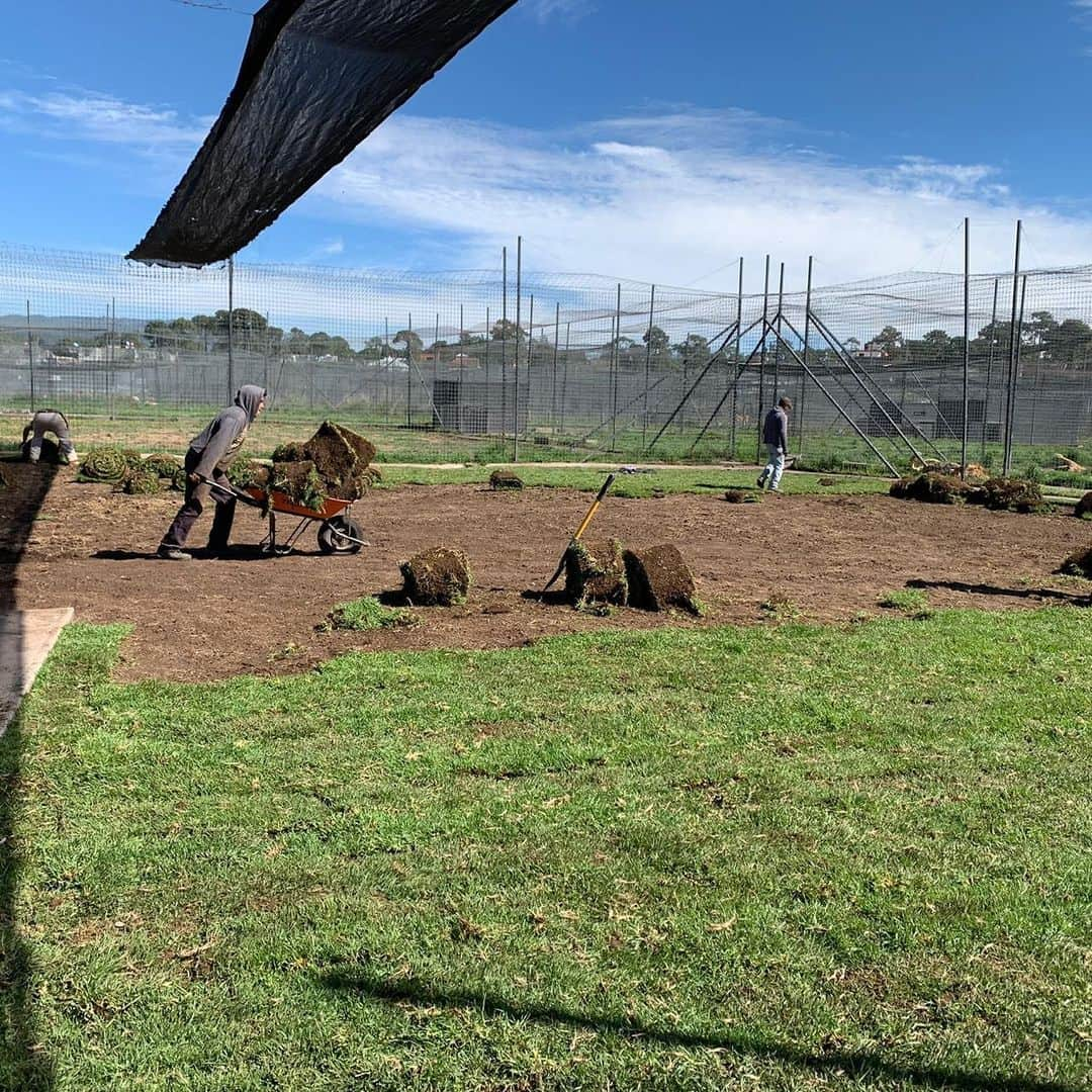 Black Jaguar-White Tiger さんのインスタグラム写真 - (Black Jaguar-White Tiger Instagram)「Bad news for Apollo 2: The mud that he Loves so much is gone. We are putting grass in their habitat and in the habitat of The Male Bambinos... #LosMagicosBJWT #Stage2BJWT」7月11日 1時28分 - blackjaguarwhitetiger