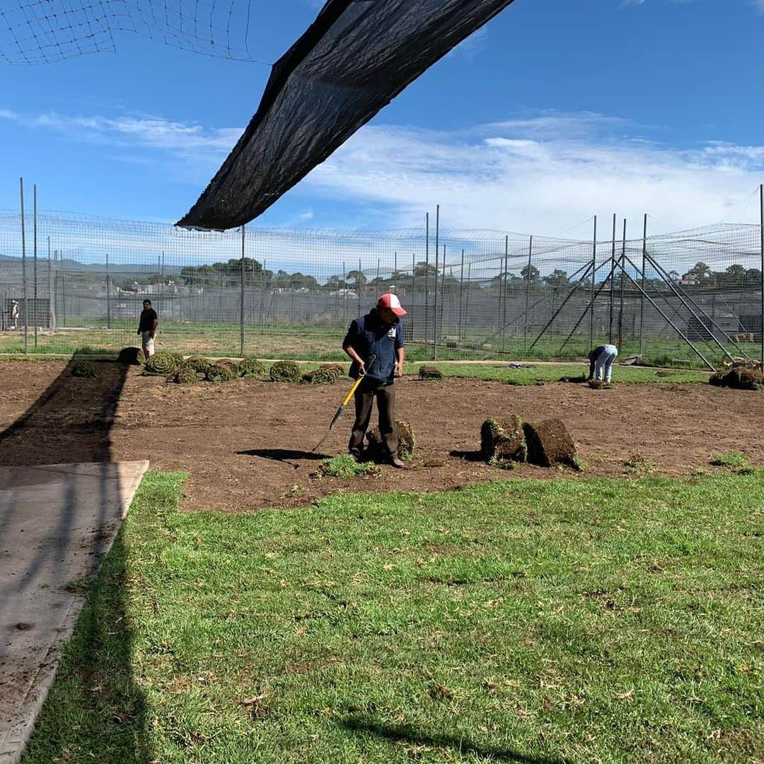 Black Jaguar-White Tiger さんのインスタグラム写真 - (Black Jaguar-White Tiger Instagram)「Bad news for Apollo 2: The mud that he Loves so much is gone. We are putting grass in their habitat and in the habitat of The Male Bambinos... #LosMagicosBJWT #Stage2BJWT」7月11日 1時28分 - blackjaguarwhitetiger