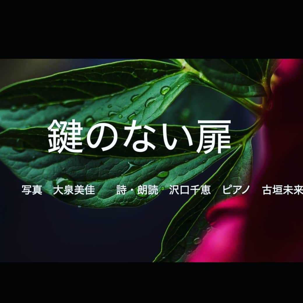 沢口千恵のインスタグラム：「都プロジェクトで応募した アートにエールをに作品がアップされました。  写真家の大泉美佳さんの写真から ピアニストの古垣未来さんと私でイメージしたものを そのままに即興演奏で表現しました。  頭を巡るままに言葉を羅列した 物語でもなく 詩でもない、断片です。  感じていたのは 信じるものと、見上げ、触れる、希望。  言葉を追わず、ゆうるり、みてみてください。  幽玄の透明の境界線のその先を （少しあやしくこわいかもしれませんが） 写真とピアノと声で描いてみました。  写真　大泉美佳 ピアノ　古垣未来  言葉　朗読　沢口千恵  https://cheerforart.jp/detail/1206  リンク、プロフィールにも貼っておきます」