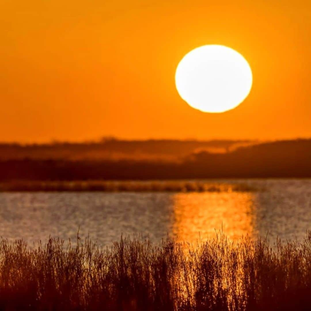 アメリカ内務省さんのインスタグラム写真 - (アメリカ内務省Instagram)「Detroit River International Wildlife Refuge in Michigan was established in 2001 as a result of efforts from politicians, conservation leaders and local communities in America and Canada to build a sustainable future for the #DetroitRiver and western Lake Erie ecosystems. Because of this collaboration, international status was given to the refuge - making it the first of its kind in North America. The refuge consists of nearly 6,000 acres of unique habitat, including islands, coastal #wetlands, marshes, shoals and waterfront lands. Gorgeous sunrise above the refuge by Tom Kachelmeyer, U.S. Fish and Wildlife Service (@USFWS). #wildliferefuge #usinterior」7月11日 0時22分 - usinterior