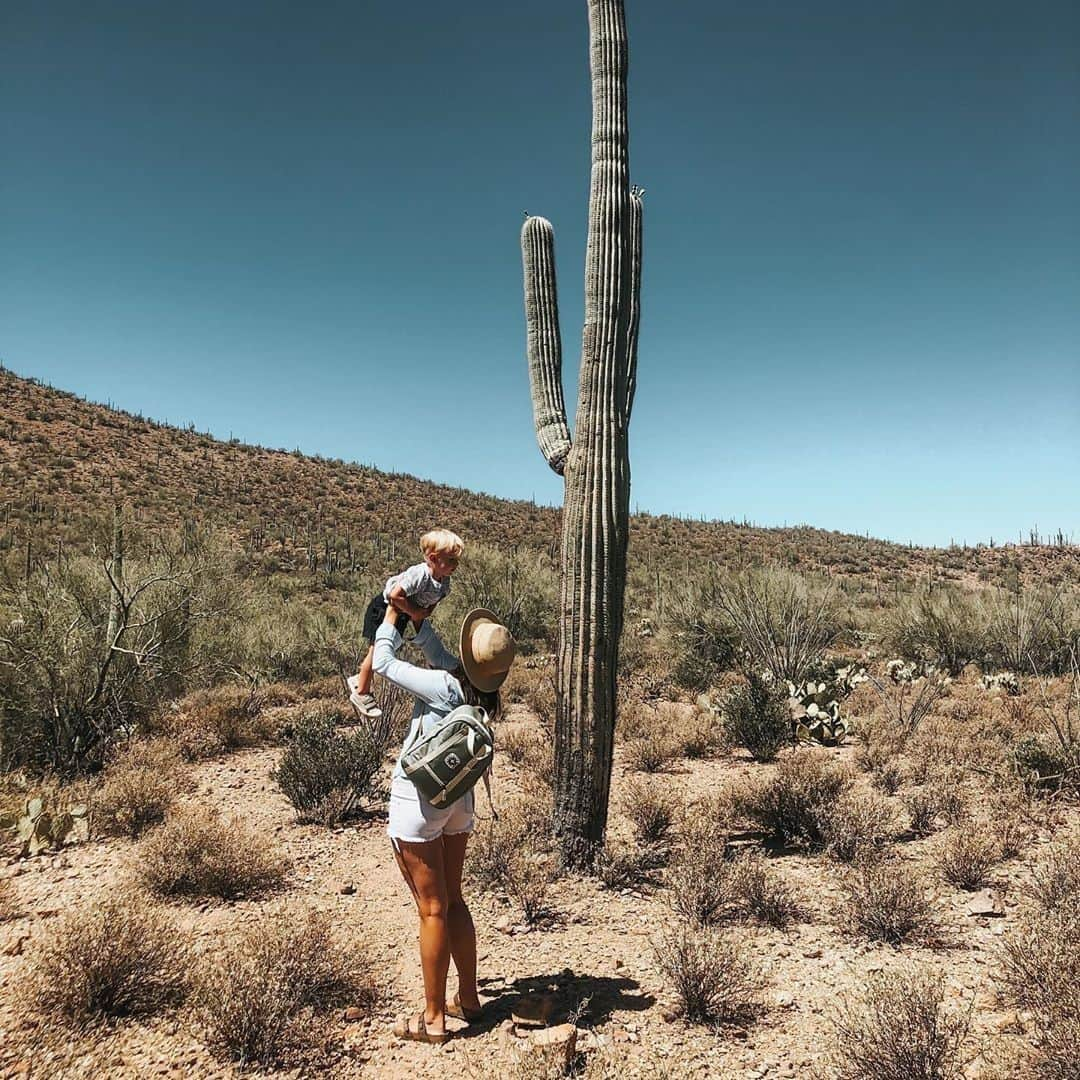 Visit The USAさんのインスタグラム写真 - (Visit The USAInstagram)「"We HAD to make a pit stop at Saguaro National Park on our road trip, and I'm so glad we did! This place is pure magic ✨" Are you planning summer road trips? Consider checking out the giant saguaro, only found in a small portion of the American west! 📸 : @wandering_wild #VisitTheUSA #TogetherInTravel」7月11日 1時00分 - visittheusa