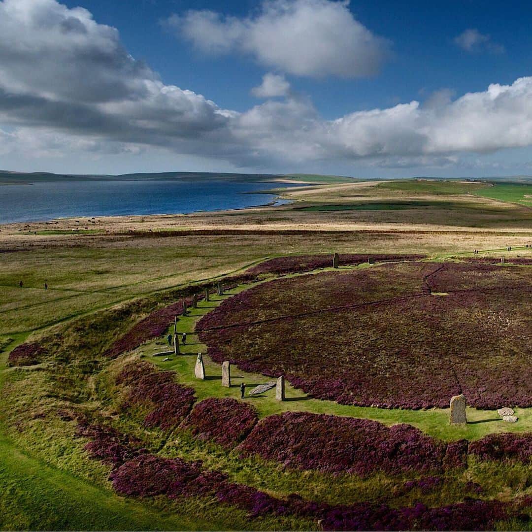 National Geographic Travelさんのインスタグラム写真 - (National Geographic TravelInstagram)「Photo by @JimRichardsonNG  The Ring of Brodgar was enjoying a day in the sunshine, covered with blooming heather, as we sent our camera-carrying kite aloft in a stiff Orkney breeze. From this vantage point it was easy to see the henge, the raised earthen platform with a classic surrounding ditch cut deep into the underlying stone 5,000 years ago. The standing stones came later, added after the henge had already served as a focal point of the Orkney Neolithic community for some time. (On up the hill is another henge that never got any standing stones at all.) Brodgar sits on the narrow strip of land separating lochs Stenness and Harray, making it a natural centerpiece of the surrounding farming community at the time.  Follow me @JimRichardsonNG for more photos from Scotland.」7月11日 1時12分 - natgeotravel