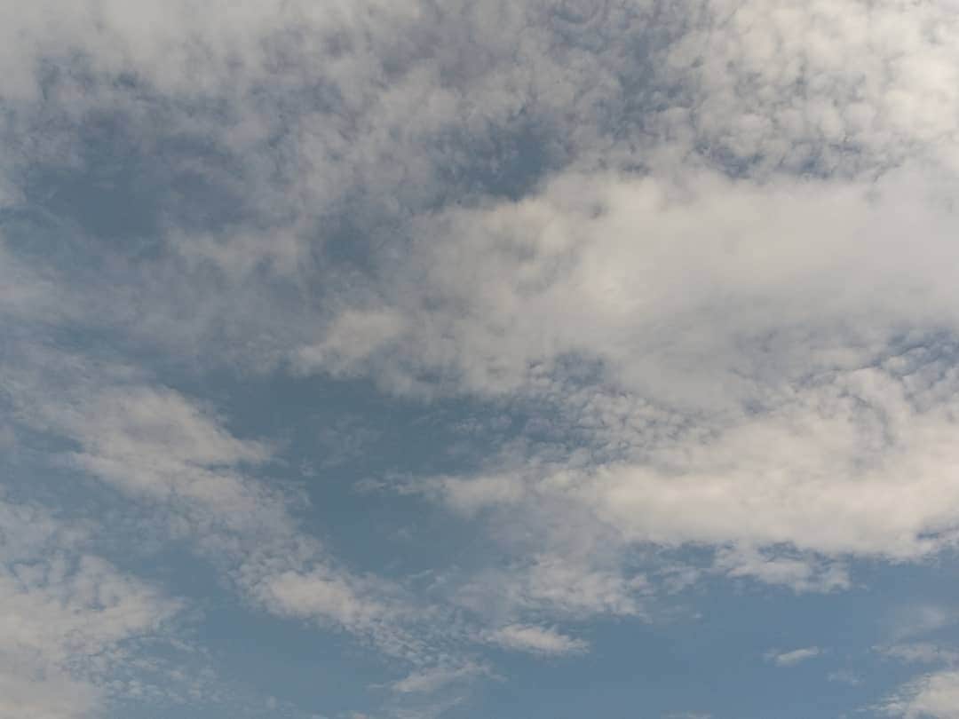 春山恵理さんのインスタグラム写真 - (春山恵理Instagram)「保育園にいる息子を迎えに行く途中に見えたひつじ雲がリアルに羊に見えて癒されました🐑 家に帰る時には羊はもういなかった、、 こんなふうに空を眺めて癒される日々が１日も早く日本全国に訪れますように。  #高積雲 #ひつじ雲 #雲が好きな人と繋がりたい  #雲が好き  #空が好きな人と繋がりたい  #空が好き  #青空が好き #神奈川 #今日の空 #スマホ撮影」7月10日 16時50分 - haruyamaeri