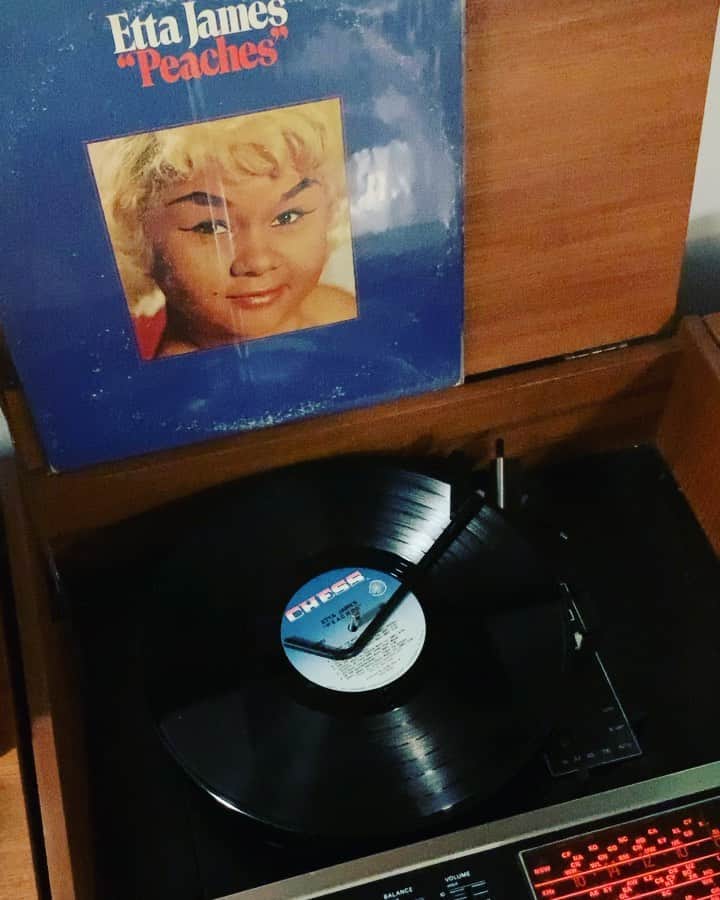 マデリン・グローヴスのインスタグラム：「Welcome home 😻 Stunning Etta James original - BIG thanks @dutchvinylbrisbane 🙏🏼」