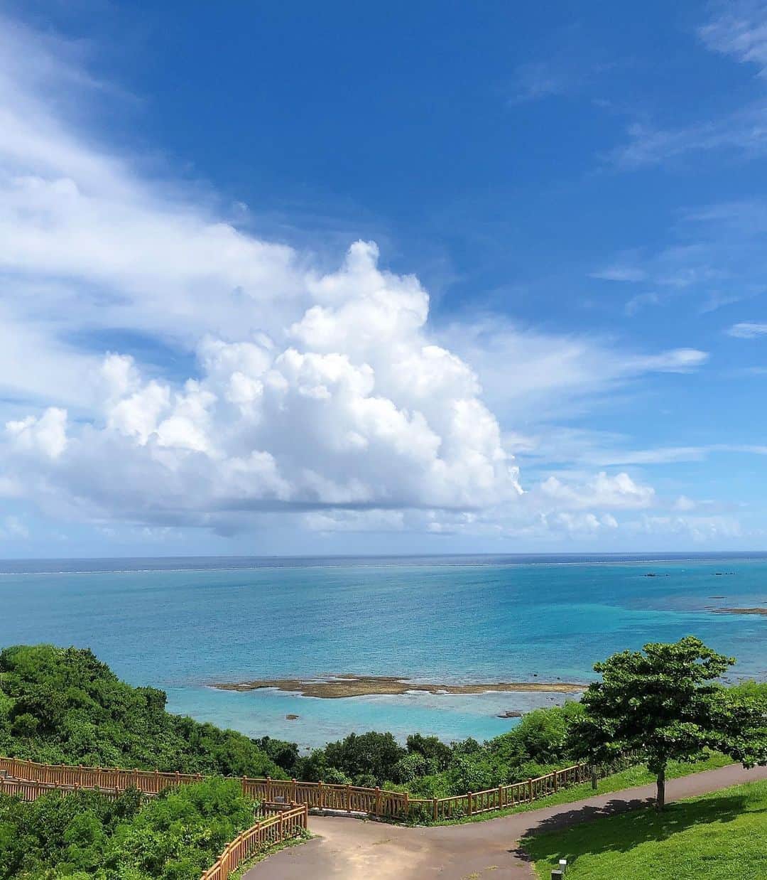 酒井麻里（Juri）さんのインスタグラム写真 - (酒井麻里（Juri）Instagram)「沖縄帰省🥭 このかりゆしウェアも可愛いなぁ🤤🌿 メンズデザインをさらりと羽織ってみたよ💚💛 * 沖縄を離れて気付く、海がどこよりも抜群に綺麗で、郷土料理が美味しくて、人が温かい。 ここが地元でわたしは幸せだな…♡ * * * #cjjuri #jurixoxoxo #pr #majunokinawa #かりゆしウェア #かりゆしのある暮らし #かりゆしスタイル #マジュン #Okinawa #沖縄 #夏コーデ #サマーコーデ #海コーデ #沖縄の夏」7月10日 16時46分 - jurixoxoxo