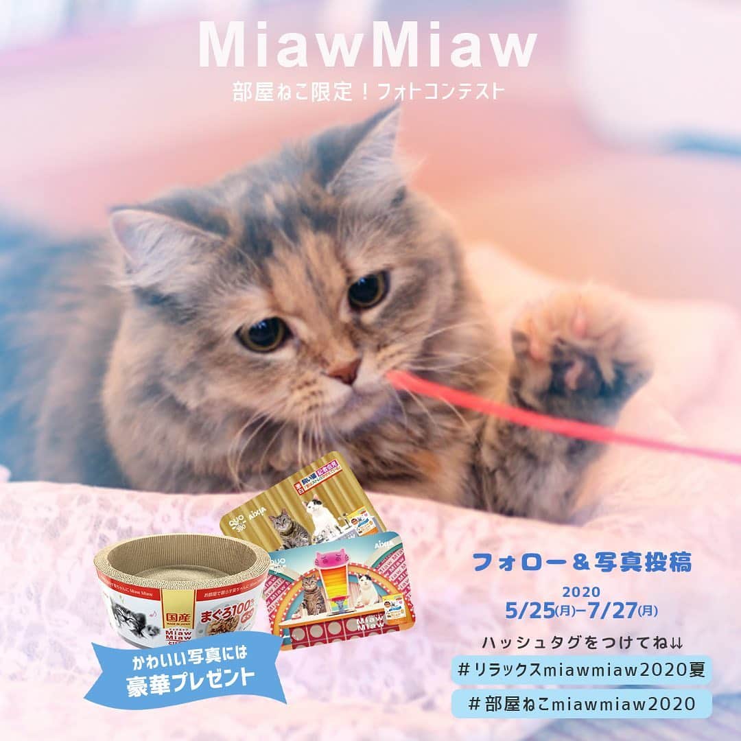 MiawMiawのインスタグラム：「＼部屋ねこ限定🐈🏠！フォトコンテスト開催中📷🏆！／⁣ ⁣ MiawMiawはただいまフォトコンテストを開催中♪⁣ 自慢の猫ちゃんを投稿して豪華賞品をGETしよう🎉⁣ ⁣ おうち時間が増えて、みなさんも猫ちゃんと一緒の時間が増えているはず✨⁣ おうちの中でかわいい猫ちゃんの写真を撮ったら、⁣ テーマに合う指定の応募ハッシュタグをつけて投稿してください🐈💓⁣ ⁣ ⁣ ＜参加方法＞⁣ ① @miawmiaw_series (ミャウミャウ公式アカウント)をフォロー⁣ ② 応募テーマに合ったお写真を撮影する（おうちの中での写真なら過去の写真でもOK)⁣ ③ 下記のフォトコン専用ハッシュタグの中から、一つ選んで投稿する（複数応募・複数枚投稿可）⁣ ※キャンペーン期間外(過去投稿)の投稿に応募ハッシュタグを付けた場合はキャンペーンの応募対象外とさせていただきます。ご了承ください。⁣ ⁣ ＜フォトコン専用ハッシュタグ＞⁣ ①～②のいずれかの応募テーマを選択し、指定のハッシュタグを付けて投稿してください♪⁣ ⁣ 【①猫ちゃんのリラックスしているフォト】⁣ #リラックスmiawmiaw2020夏⁣ ※「2020夏」を付けていただかないと今回の応募の対象になりませんのでご注意ください。⁣ ⁣ 【②お部屋の中にいる猫ちゃんのフォト】⁣ #部屋ねこmiawmiaw2020⁣ ⁣ フォトコンテスト期間中、指定のハッシュタグでご参加いただいている方を、当アカウントでご紹介させていただくこともございます😻📷♪⁣ ⁣ ＜募集期間＞⁣ 2020年5月25日(月)～2020年7月27日(月)23:59まで⁣ ⁣ ＜賞品＞⁣ 🏆大賞　各テーマ1名様　：投稿フォト入りオリジナル猫用爪とぎ＋MiawMiaw商品詰め合わせ⁣ 🏆金賞　各テーマ3名様　：オリジナルQUOカード( 合計800円分)＋MiawMiaw商品詰め合わせ⁣ 🏆銀賞　各テーマ5名様　：MiawMiaw商品詰め合わせ⁣ ⁣ ※賞品の画像はイメージです。変更になる場合がございます。⁣ ⁣ ＜当選者様へのご連絡＞⁣ 当選者発表は8⽉中旬を予定しております。⁣ 当選者の⽅には Instagram上のDMにてご連絡致します。⁣ ⁣ ＜ご注意＞⁣ ＊本キャンペーンにご参加いただくことにより、本募集要項に同意いただいたものとみなします（未成年の方については、親権者に同意いただいたものとみなします）。⁣ ＊選考時に、アカウントフォロー及び指定のハッシュタグ投稿を継続いただいていることが確認できない場合、選考の対象から外れることがあります。フォトコンテスト終了からおおむね1か月程度、参加条件に達する状態を継続いただくことをお勧めします。⁣ ＊アカウントを非公開設定にしている場合は選考対象外となります。⁣ ＊再選考は行いません。⁣ ＊当選者は、配送の都合で日本国内にお住まいの方に限らせていただきます。⁣ ＊企業アカウントからのご応募は選考対象外となります。⁣ ＊賞品の返品・交換はできませんのでご了承くださいませ。⁣ ＊賞品の転売は禁止させていただきます。⁣ ＊通信環境の問題でDMが不着となった場合、又はご当選通知のDMに記載の手続きを履行いただけない場合、ご当選の資格は無効となります。⁣ ＊賞品画像はイメージとなります。⁣ ＊本キャンペーン参加にあたって生じるインターネット接続料や通信料、当選連絡DMに記載の手続を履践するにあたって生じる諸費用は、ご本人様の負担となります。⁣ ＊本キャンペーンで投稿いただいた写真や動画は、当社公式Instagramアカウントにてご紹介させていただく場合がございます。なお、このご紹介は選考結果とは関係がありません。⁣ ⁣ たくさんのご応募お待ちしております😻！⁣ ⁣ #miawmiaw #ミャウミャウ⁣ #部屋ねこ #おうち時間を楽しむ #フォトコンテスト #コンテスト #プレゼント企画 #プレゼント #プレゼントキャンペーン #キャンペーン開催中 #キャンペーン #ねこのいる生活 #ねこばか #ネコ好き #猫 #ねこ #ネコ #にゃんこ #猫部 #猫のいる暮らし #キャットフード #猫好きさんと繋がりたい #猫好き #にゃんこ部 #にゃんすたぐらむ #ねこすたぐらむ #にゃー #stayhome」