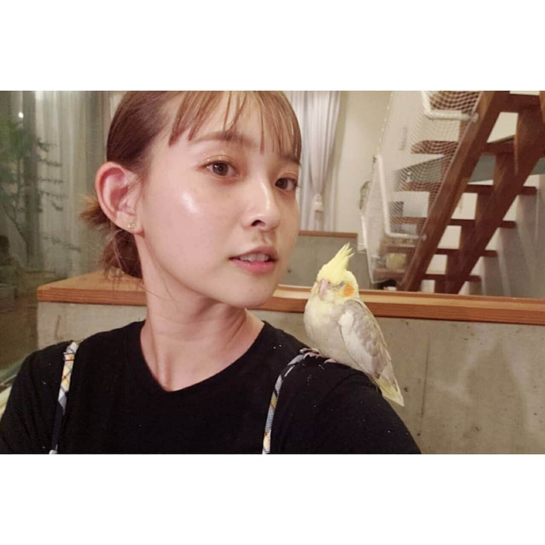 牧野莉佳さんのインスタグラム写真 - (牧野莉佳Instagram)「この前、コロナ自粛でずっと遊びに行けなかった従姉妹のお家に久しぶりに遊びに行ったらまさかのオカメインコ2羽がお家の中を飛び回ってて出迎えてくれたの🥺❤️ 犬猫には慣れてるんだけど鳥は初めてでびっくり！！こんなにも懐っこいのね🥺🥺🥺 ずーっと頭か肩に止まってた🥺 可愛すぎる💓」7月10日 17時13分 - makino_rika