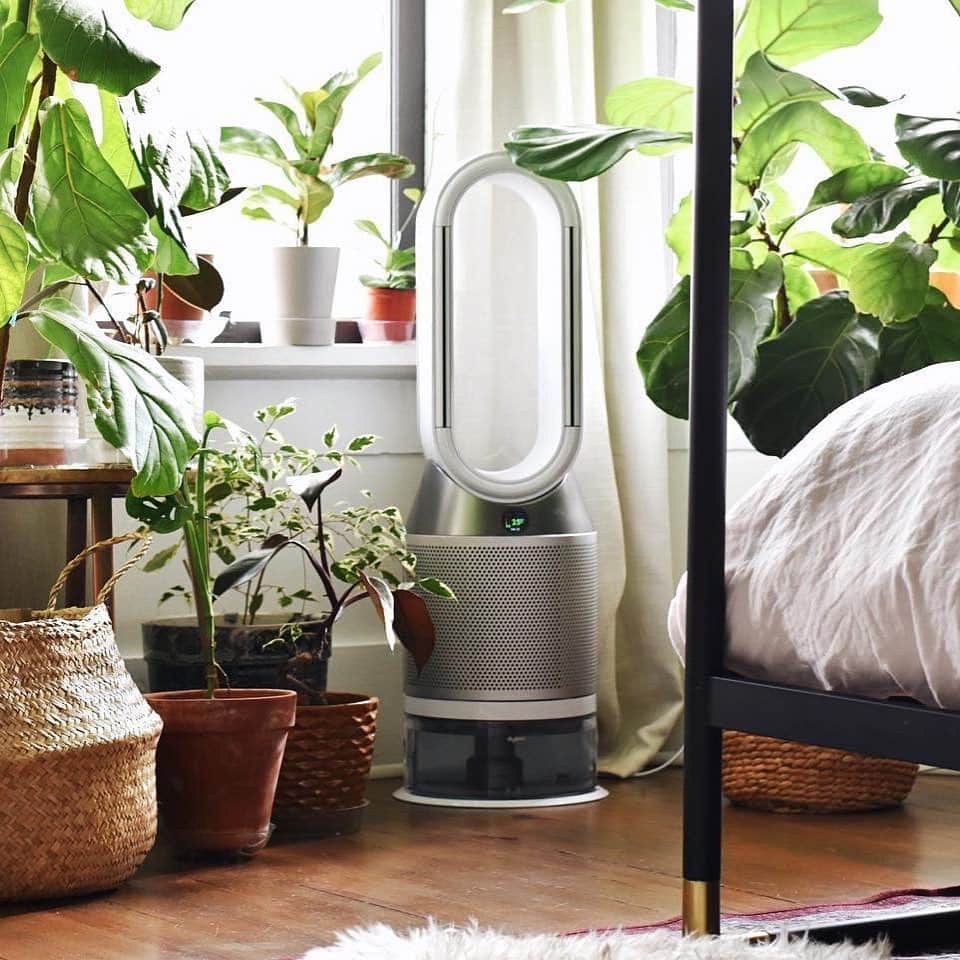 Dysonさんのインスタグラム写真 - (DysonInstagram)「Improve your indoor air quality. With the Dyson Pure Humidify + Cool™ purifying humidifying fan you can track temperature, moisture levels and the presence of pollutants or allergens that could affect the quality of the air you breathe. For transparency and comfort in your home environment. 📷 @bungalow614 #dyson #dysonhome #purifier #coolingfan #humidifier #bedroomgoals #keepingcool」7月10日 17時16分 - dyson