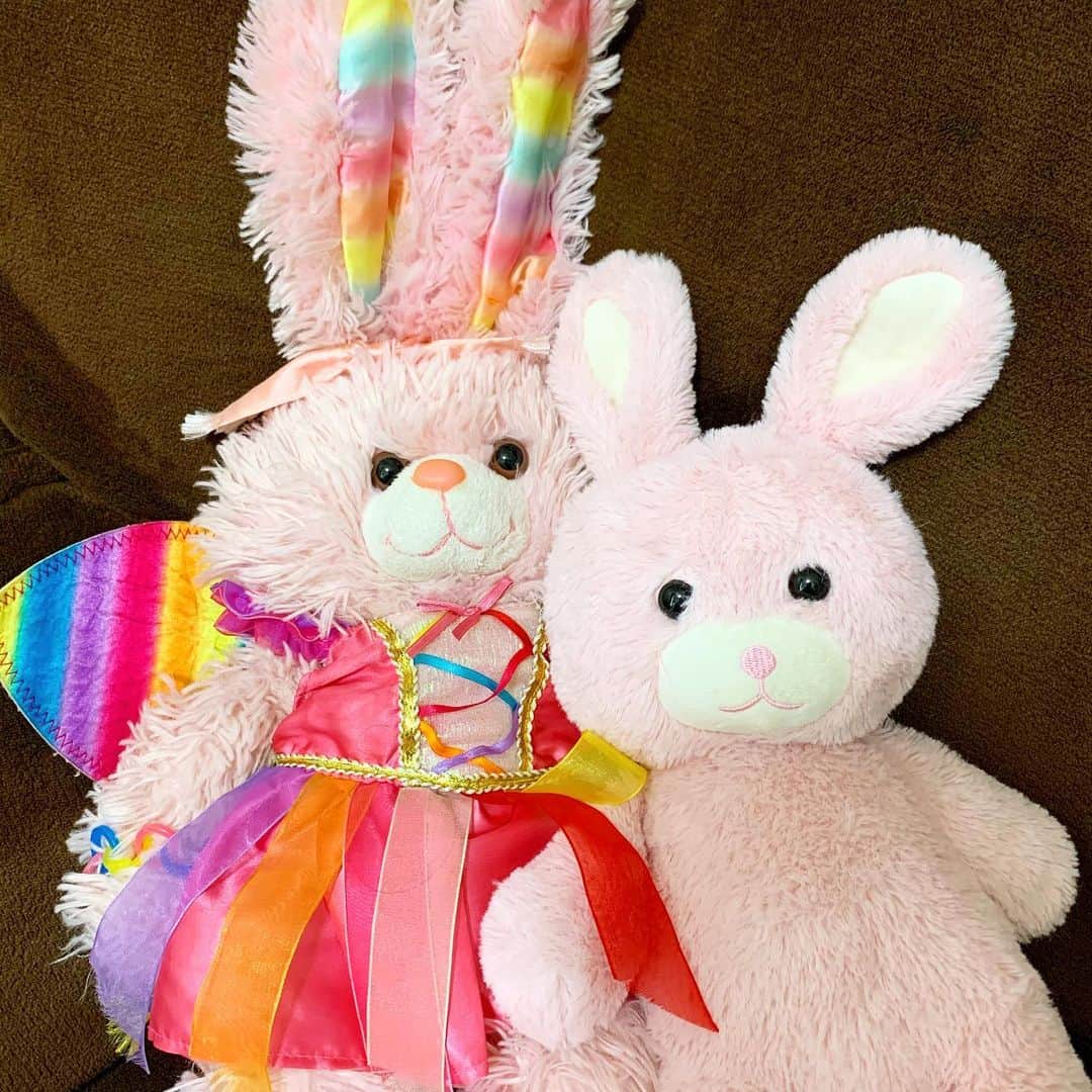 のインスタグラム：「はるみのお気に入りモモちゃんに 妹ができました🐇🐇🌈🍑❣️ ニトリのアウトレットコーナーで遭遇。 この顔が好きなんだね…🐰🐰」