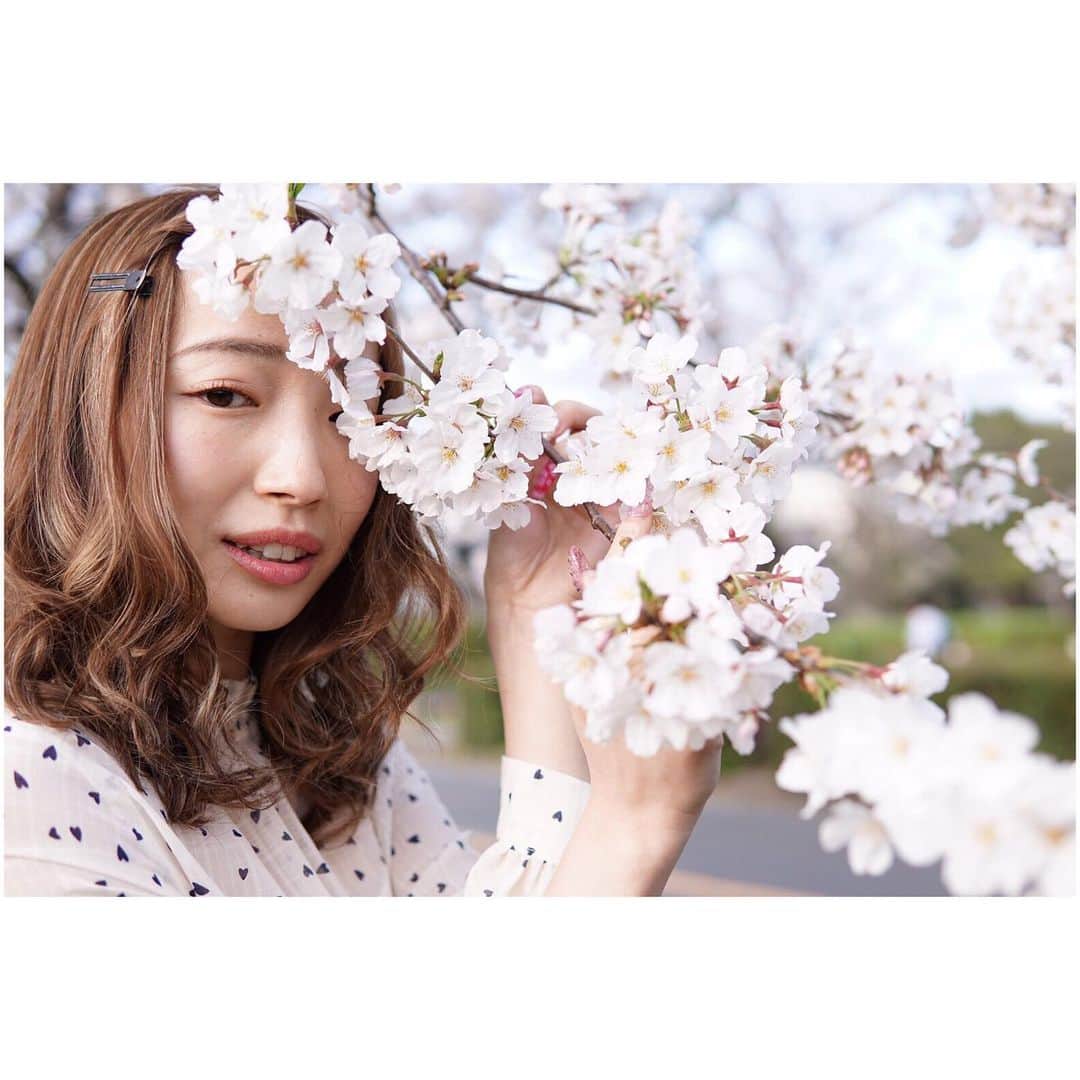 有明ゆなさんのインスタグラム写真 - (有明ゆなInstagram)「桜を綺麗に撮ってもらえて嬉しい♡ . @hisaya_okamoto  . . . . #ポートレート #ポートレート撮影 #ポートレート好きな人と繋がりたい #ポートレート女子 #ポートレート撮ってる人と繋がりたい #ポートレート写真 #ポートレート初心者 #portrait #portait_shots #portrait_jp #被写体モデル #被写体 #被写体になります #被写体依頼受付中 #撮影依頼募集中 #instagramjapan」7月10日 17時51分 - ariake_yuna