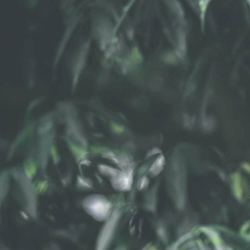 結婚式場 ヒルズスィーツ宇都宮ブリーズテラスのグルメインスタ