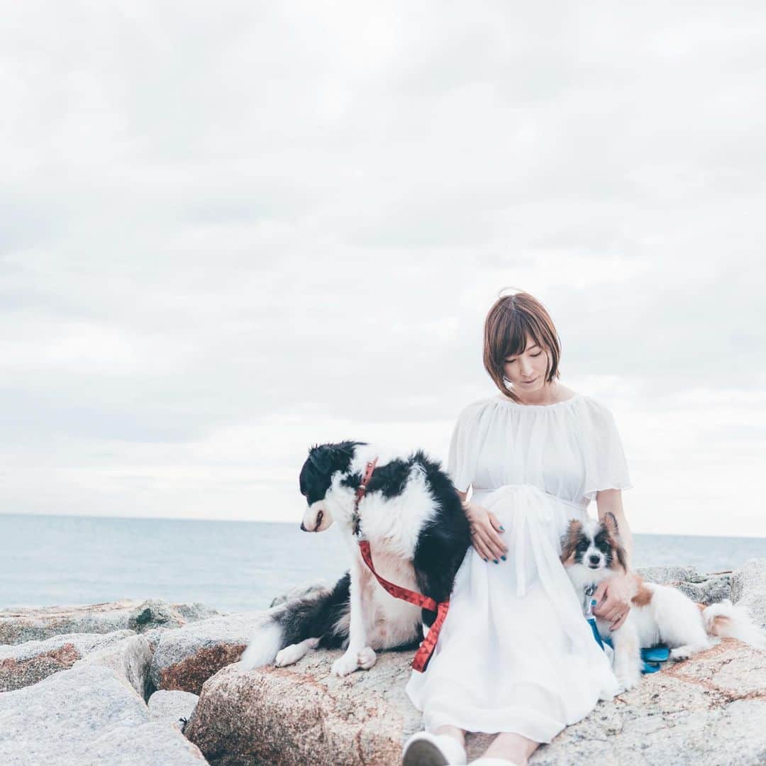 sorayuchiのインスタグラム：「・ 家の中では、ずっとこんな感じに三密🐶」
