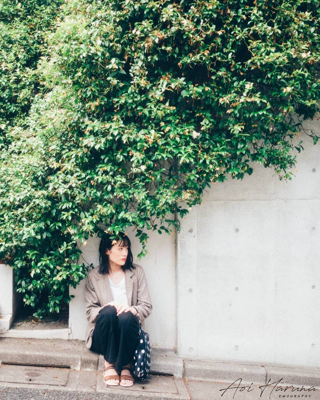 遥南碧さんのインスタグラム写真 - (遥南碧Instagram)「東京にもこんなにきれいな緑がある * * * #何気ない日常の物語 をモチーフに 東京拠点で #被写体募集 しているので #邦画の彼女感 に 興味がある方はお気軽に ご連絡ください。  モデルのファッション撮影や アイドルのグラビアなど 一緒に作品撮り出来る ヘアメイク 、スタイリスト も募集中✨  案件やコラボのお誘いは お気軽にコメント、DMください！ * * * #多摩川台公園 #サロンモデル #オールドレンズに恋をした #東京カメラ部 #幸せな瞬間をもっと世界に #좋아요반사 #関西写真部SHARE #人像攝影 #儚くて何処か愛おしい様な #ポートレート女子 #何気ない瞬間を残したい #good_portraits_world  #ootd #into_the_screen #indies_gram #as_archive  #indy_photolife #photogram_archive  #film_com #film_jp #photocinematica #vogue_memories #ifyouleave #coregraphy #worldviewmag #dreamermagazine #cinematicmodeon」7月10日 18時57分 - harunaoi_photo