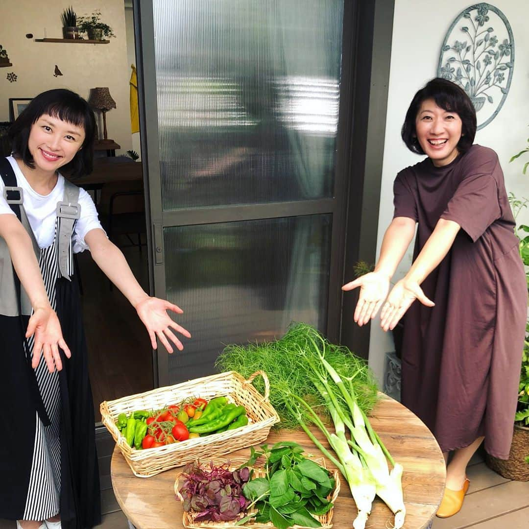 山口もえさんのインスタグラム写真 - (山口もえInstagram)「大収穫🌶🥒🍅🥕✨ 収穫が楽しい季節🌞 虫たちも元気な季節🐛 いまだに 虫には慣れない43歳 見つけた時は 大騒ぎ😭💦💦💦  7月12日（日）8：00〜8：24 NHK-E「趣味の園芸 やさいの時間」 ミニニンジンとミニゴボウを育てます💕  #やさいの時間#深町貴子 #ミニニンジン#ミニゴボウ #虫 #どうにもこうにも #苦手なり」7月10日 19時29分 - moe_yamaguchi0611