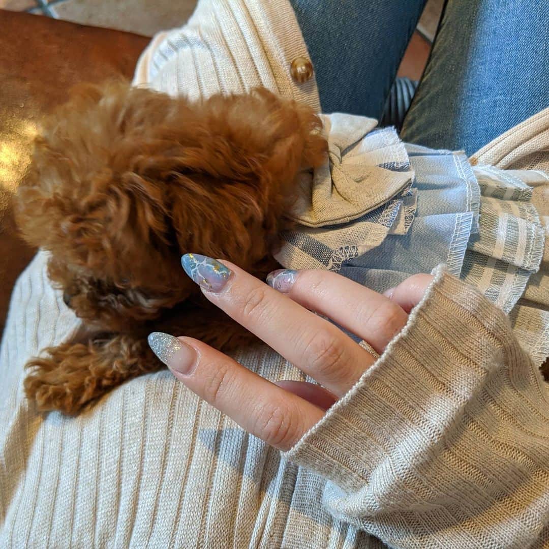 雨宮めるのグルメインスタ