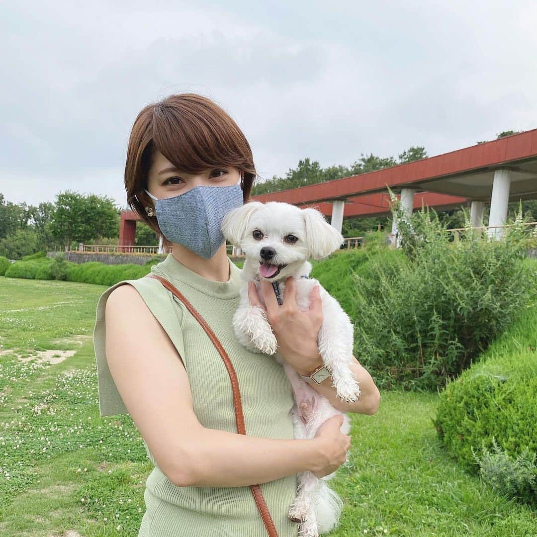 のインスタグラム：「． 束の間の晴れにマメモチのお散歩🐶🌳 外は暑いけどマスクはしっかり付けて😷‼︎ ． この時のは阿波しじら織でつくられた きもの阿波和( @kimono_awawa)で人気のマスク👘 外側は夏着物や浴衣に使われている生地で、内側の口元にあたる部分は接触冷感やUVカットがついた生地を使っているので、付け心地は蒸れにくくサラっと軽くてとっても爽やか🎐🌿 抗菌・抗ウイルスの機能面もバッチリ👌 デザインもシンプルなのでオン・オフいつでも使えて重宝しています👏♡ ストーリーズにショップに飛べるリンク貼ってます🤳✨ ． #きもの阿波和 #阿波しじら織 #マスク #着物マスク #夏マスク #マスク女子」