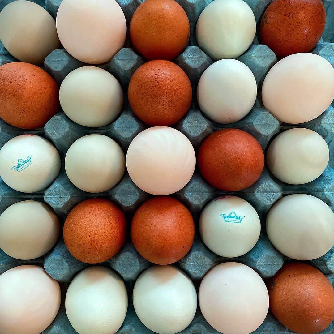 ナイジェラ・ローソンさんのインスタグラム写真 - (ナイジェラ・ローソンInstagram)「All the eggs! Thank you for coming to my rescue @clarence_court」7月10日 20時13分 - nigellalawson
