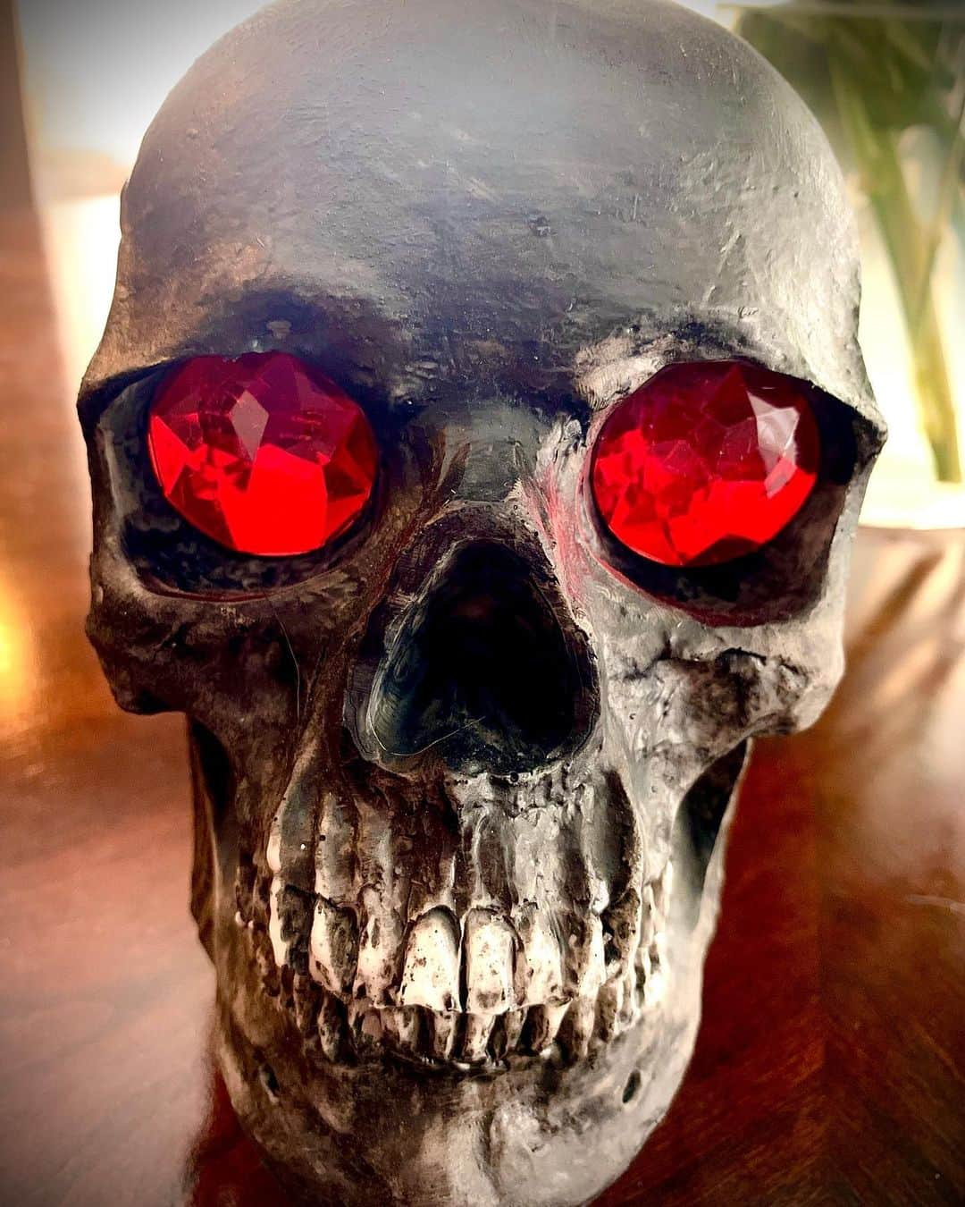 レイチェル・ボランさんのインスタグラム写真 - (レイチェル・ボランInstagram)「You can never have too many skulls! Newly acquired from @athomestores . Believe it or not, they have put out Halloween decorations already. #skull #ruby #black #red #follow」7月11日 1時42分 - officialrachelbolan