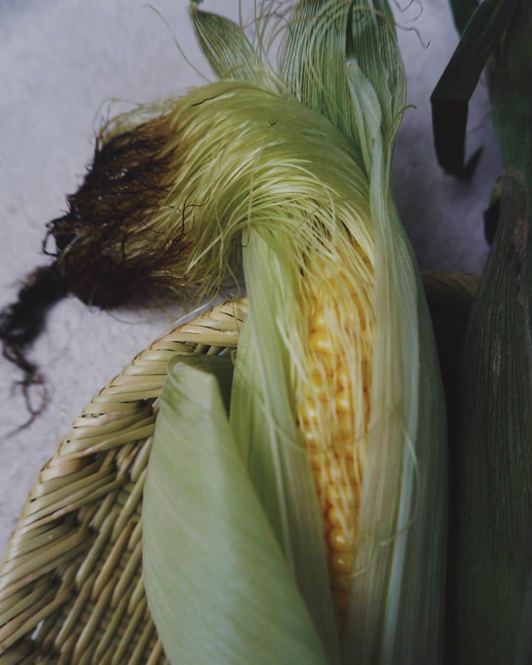 JUNNAのインスタグラム：「#🌽 生でも、茹でても、焼いても、揚げても キミは最高だ。」