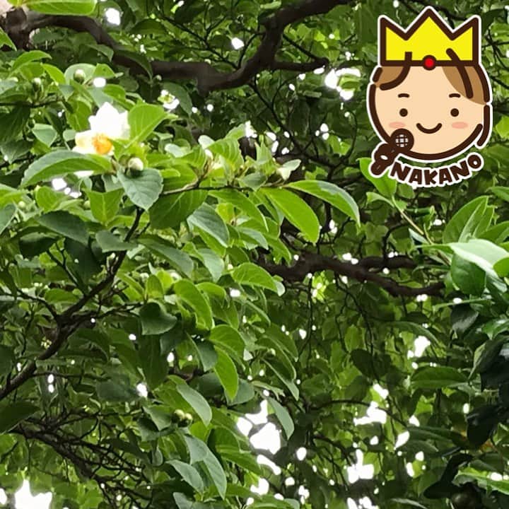 中野耕史のインスタグラム：「‪新しいシリーズをUPしました！‬  ‪お休みのお供に、朝一番のリフレッシュに、サクッとお楽しみください😊‬  ‪#日本語　#読み聞かせ #山下景子 ‬  ‪心を伝える日本語 #1 恩送り https://youtu.be/6HcXO9qyqwU @YouTubeより‬」