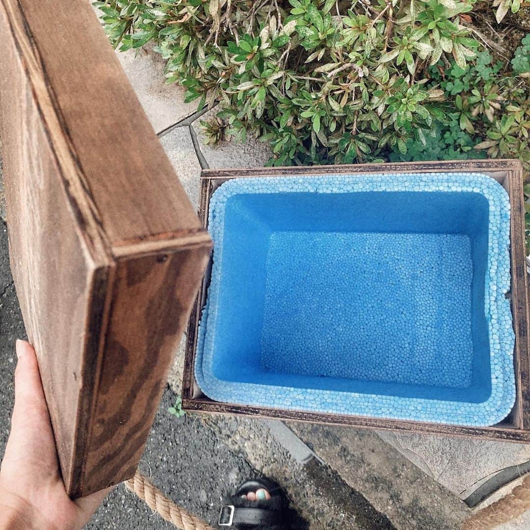 のインスタグラム：「. . 2個前の投稿の正解は クーラーボックスでした♡ なんとこのクーラーボックスを 明日の20:20から @staytion_osk のyoutubeでオンラインで作ります！ . . 無料配信なのでみてねー♡ . . #チアコマ #diy #クーラーボックス #オンラインフェス」