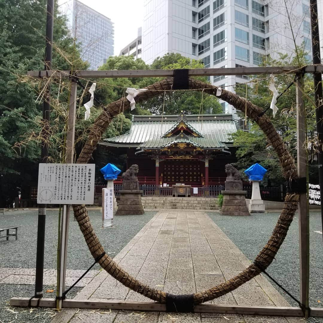 宇月田麻裕さんのインスタグラム写真 - (宇月田麻裕Instagram)「寺や神社の縁日で、この日に参詣した者には4万6千日参詣したのと同じご利益や功徳があるとされています 。 今日は、打ち合わせのあと、神社巡りをしました！   四万六千日    四万六千日(しまんろくせんにち)とは - コトバンクブリタニカ国際大百科事典 小項目事典 - 四万六千日の用語解説 - 東京都台東区の浅草寺の本尊である観世音菩薩の縁日のうち，特に多くの功徳が得られるとされる功徳日のことで，毎年 7月9，10日がその日にあたる。もとは「千日詣り」といい，本来はこの日に参詣すると 1000日参詣したのと同じ功徳が得られる...￼kotobank.jp￼       しまんろくせんにち」7月10日 21時31分 - mahiro_utsukita