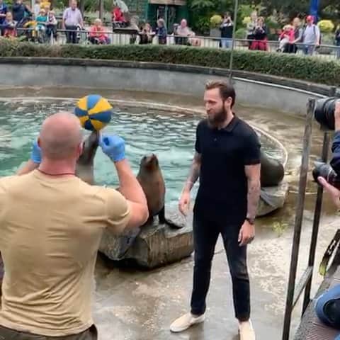 マルコ・ヘーガーのインスタグラム：「Kleine #show im @koelnerzoo mit der Patenoma 💪🏻🏐  . Tut was Gutes für unseren Zoo, spendet, übernehmt Patenschaften oder besucht ihn😉!  . #seelöwe #pate #zoo #köln #circus #animal #lover #fun #time #vacation #effzeh #cologne #fc #mh6 #liebedeinestadt #support」