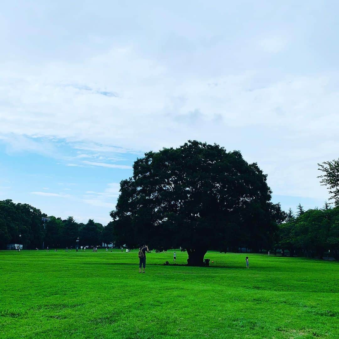 八木田麻衣さんのインスタグラム写真 - (八木田麻衣Instagram)「先日、近場の公園に。 ブラブラ歩いただけだけど、なんとなく頭のリセットになった。  明日20:00〜さとみちゃんのとこのインスタライブに出まーす。またまた姉ちゃん達は暴走するのか？しないのか？ 。。。するだろうな。笑」7月10日 22時25分 - yagitamai