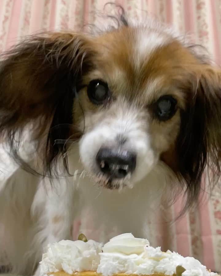 あーちゃんのインスタグラム