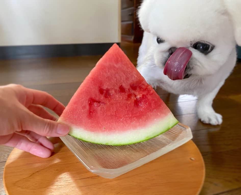 こなつのインスタグラム：「すいかーーー👅🤣🍉🍉🍉✨」
