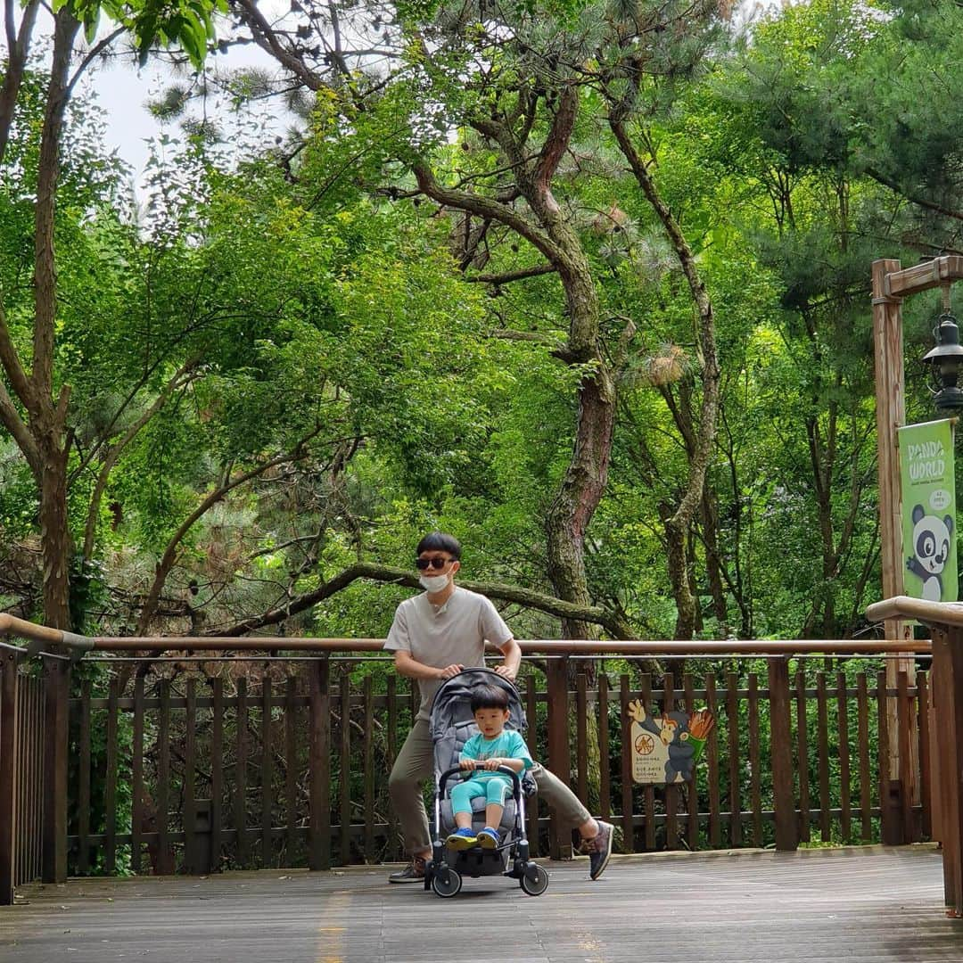 セイジュンさんのインスタグラム写真 - (セイジュンInstagram)「The largest amusement park in Korea is near my house.  #에버랜드 근처에 산다는 것. 연간회원권 끊은 첫 날.」7月10日 23時33分 - seijun_yang