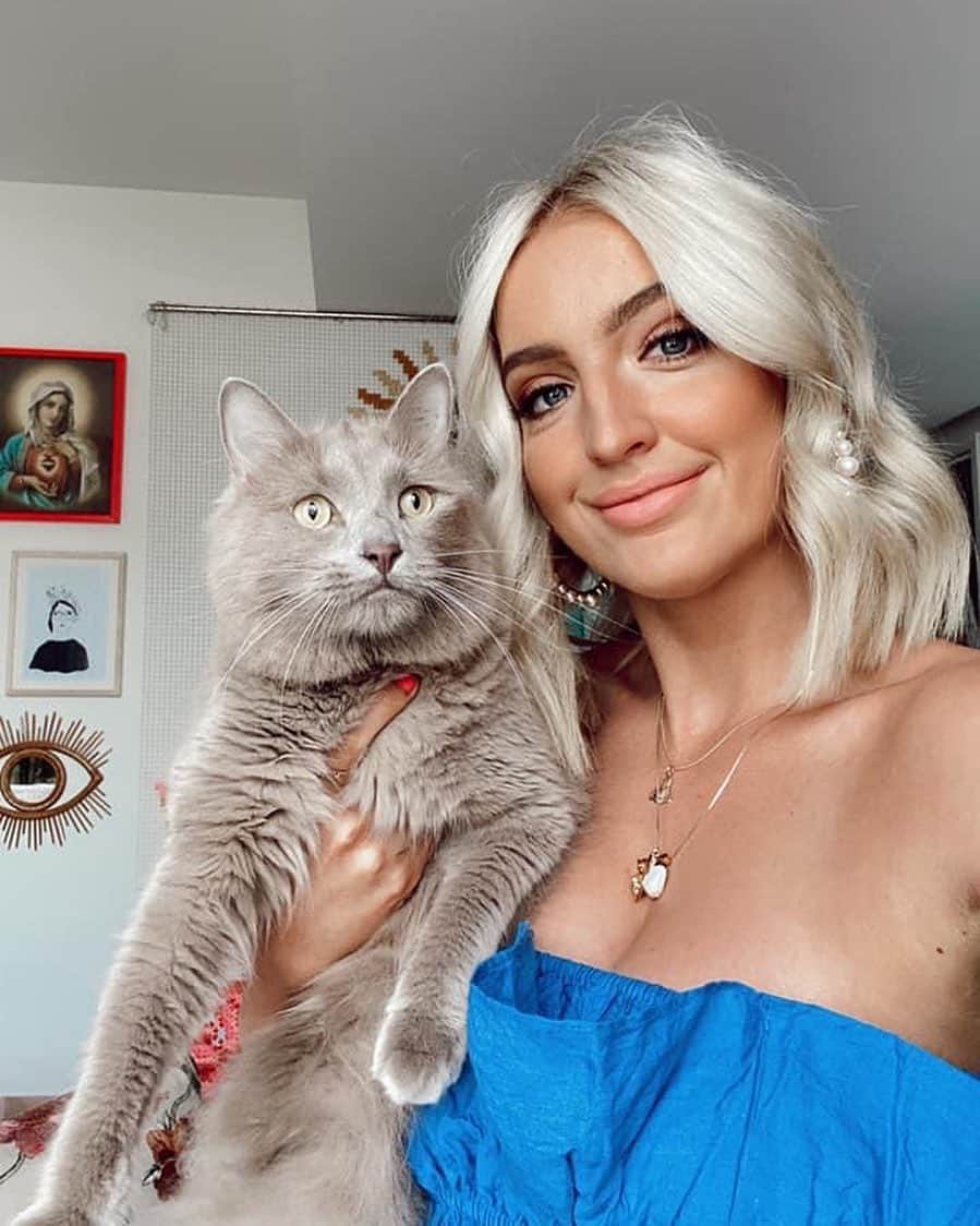 シェパードのインスタグラム：「Every meal you make, every bite you take, I’ll be watching you. 🐱」