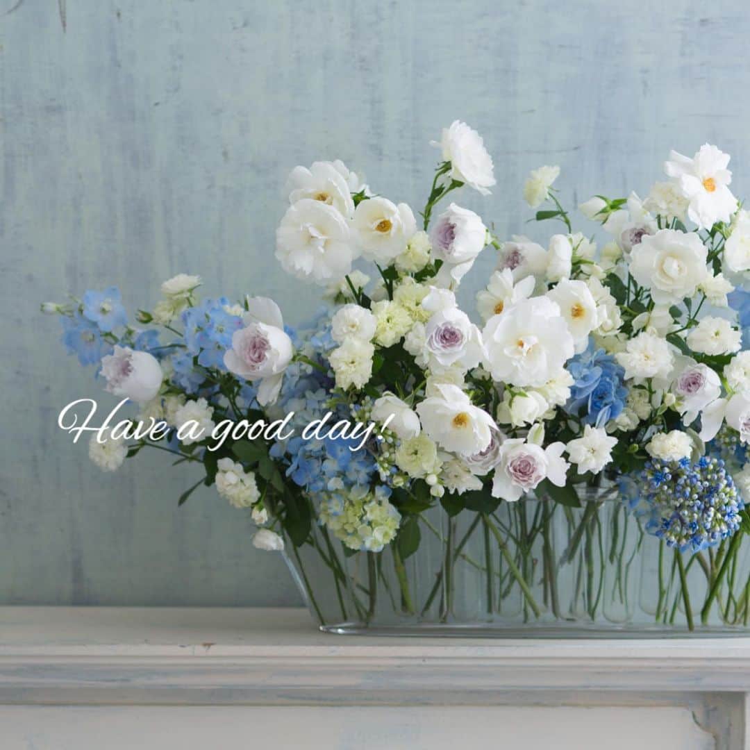 雑誌 花時間 さんのインスタグラム写真 雑誌 花時間 Instagram おはようございます 花びらがみっしりのピンクの花は 何かわかりますか 近ごろ人気のあのかわいい子 エキナセアのナンシーです 2枚めのpicのお花はちょっと色合いが異なります