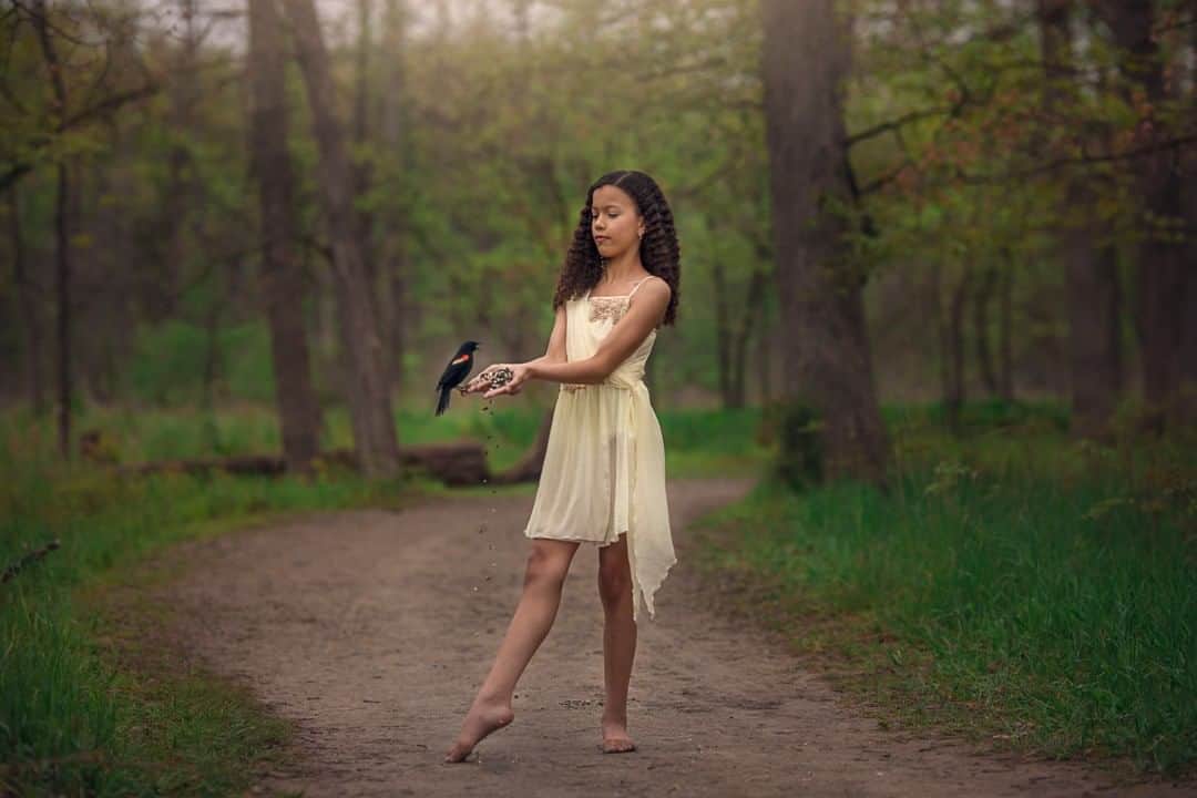 のインスタグラム：「Straight out of a fairytale...  When Sigma Ambassador @enchantedphotographymichigan learned of a park where songbirds will perch right on your body in return for a few seeds, she jumped at the chance to put her SIGMA 105mm F1.4 to good use! With the long focal length and shallow depth of field, the background simply melts away, giving this image a magical quality and putting the emphasis right where it belongs.  Have a great weekend!  #photography #sigmaphoto #sigma105mmart #sigma105mm #sigma105mmf14art #bokeh #dancer #dancephotography #dancephotographer #birdsofinstagram #redwingblackbird #birding #fridayvibes #friday #fridaymood」